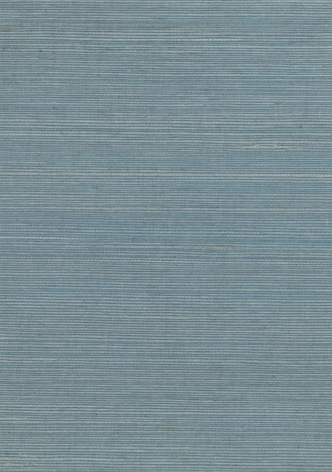 Sisal Grasscloth 1171 Latigo Bay