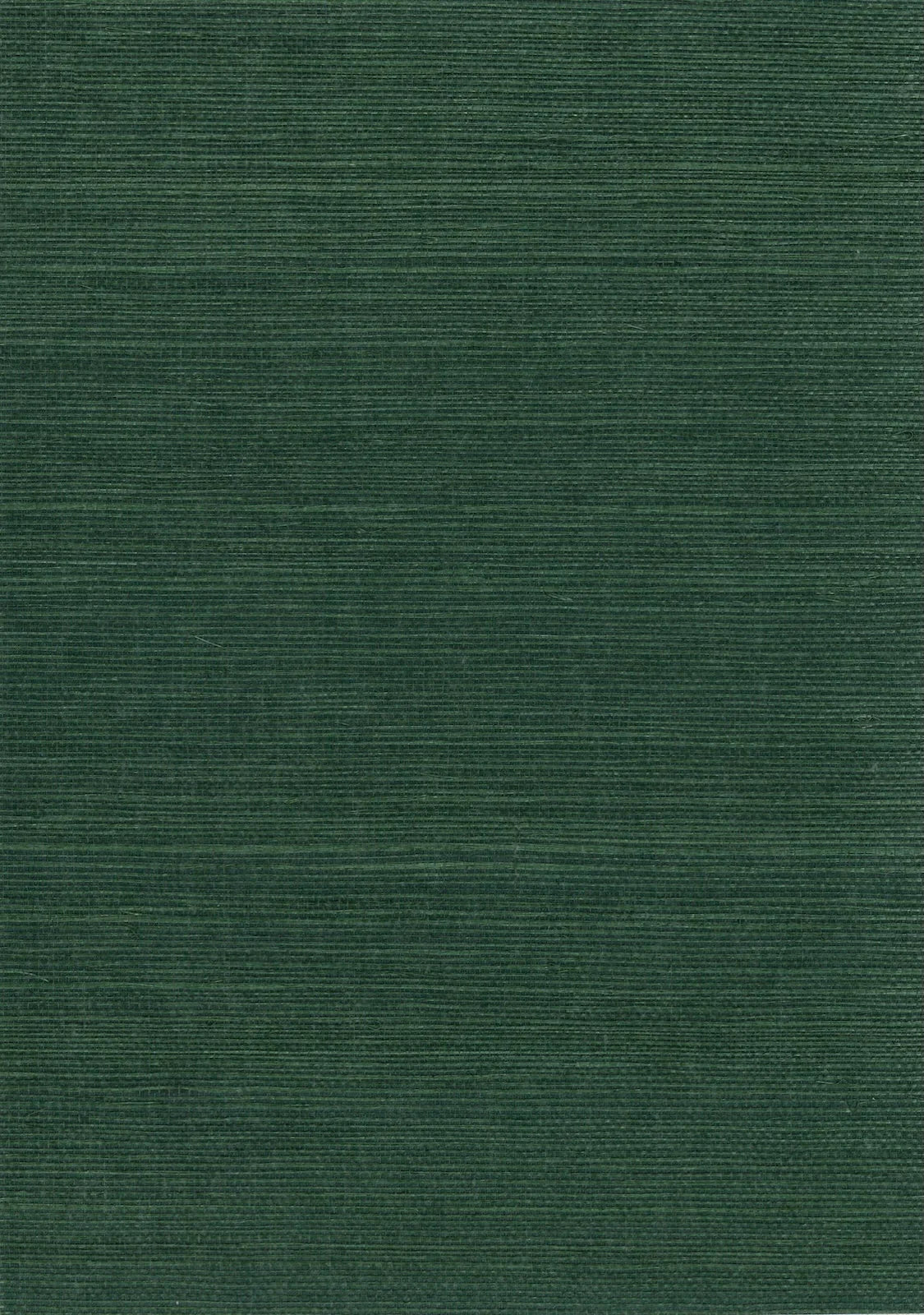 Sisal Grasscloth 1174 Eden - Nāturae - Australia's Finest Natural Wallcoverings