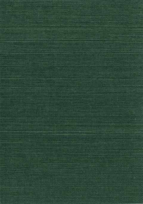 Sisal Grasscloth 1174 Eden