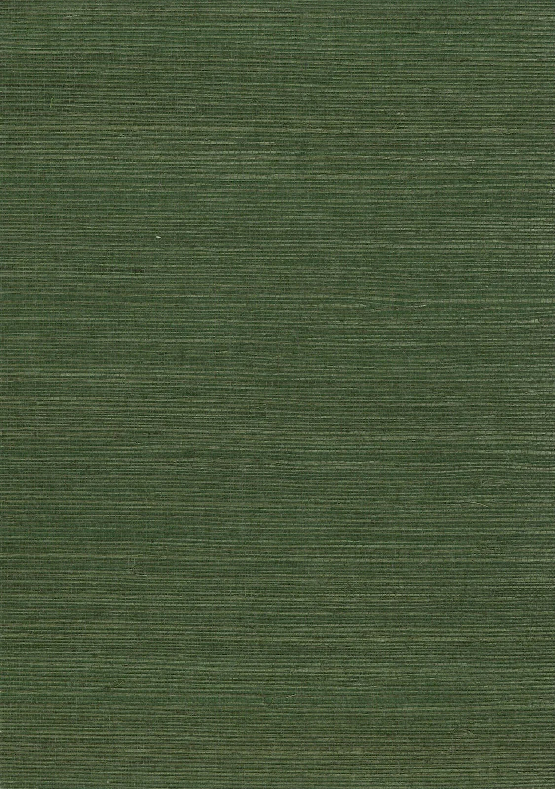 Sisal Grasscloth 1175 Fairway - Nāturae - Australia's Finest Natural Wallcoverings