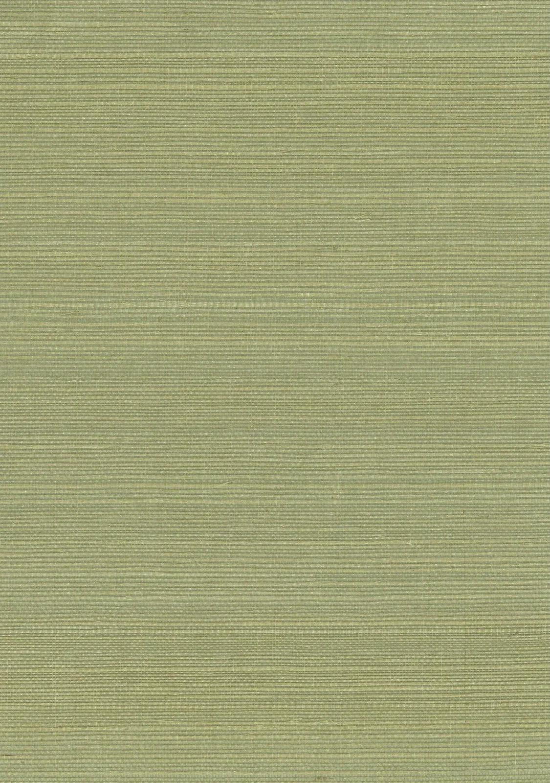 Sisal Grasscloth 1176 Sage - Nāturae - Australia's Finest Natural Wallcoverings