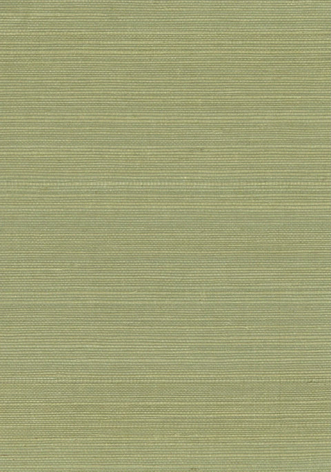 Sisal Grasscloth 1176 Sage