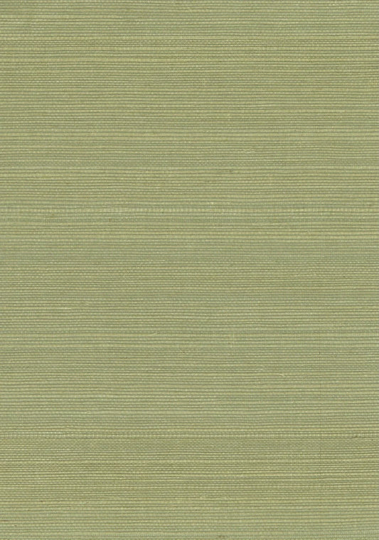 Sisal Grasscloth 1176 Sage - Nāturae - Australia's Finest Natural Wallcoverings