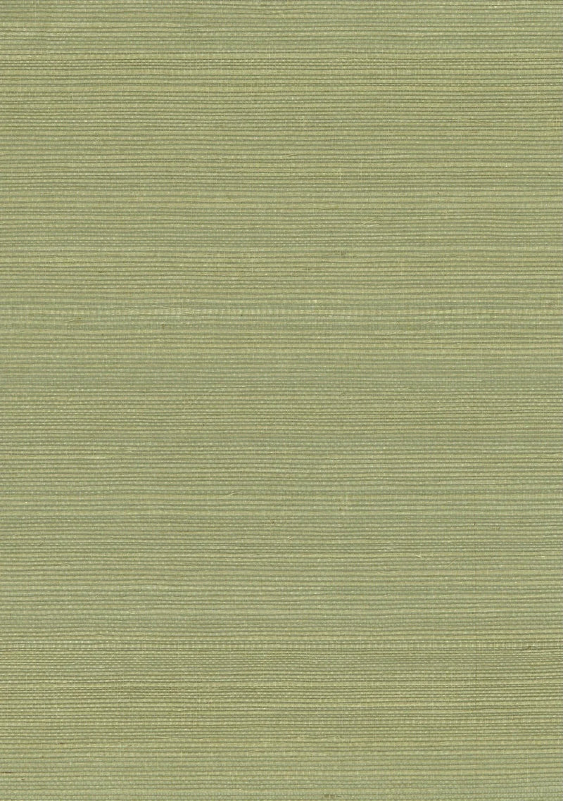 Sisal Grasscloth 1176 Sage - Nāturae - Australia's Finest Natural Wallcoverings