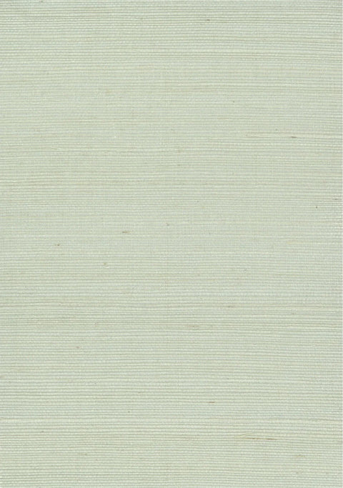 Sisal Grasscloth 1177 Silver Blue