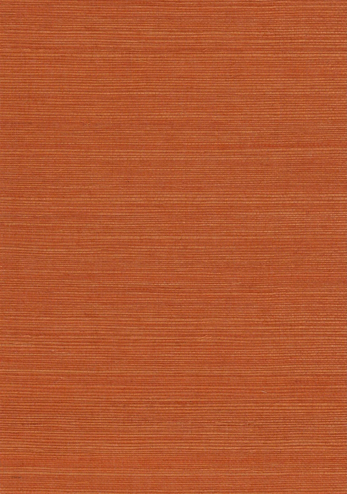 Sisal Grasscloth 1186 Marmalade - Nāturae - Australia's Finest Natural Wallcoverings