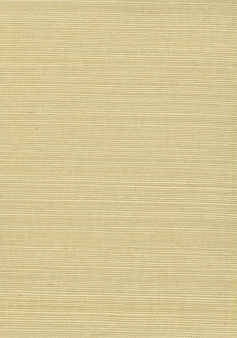 Sisal Grasscloth 1191 Boulder