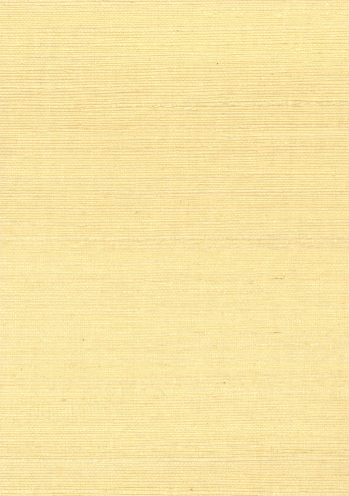 Sisal Grasscloth 1192 Beige - Nāturae - Australia's Finest Natural Wallcoverings