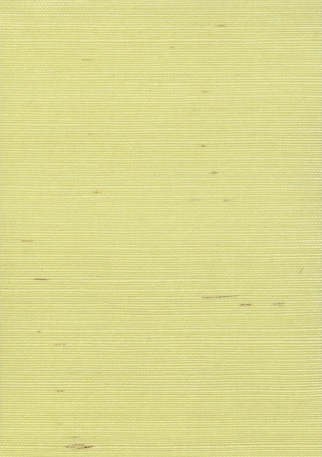 Sisal Grasscloth 1193 Cream Gold - Nāturae - Australia's Finest Natural Wallcoverings