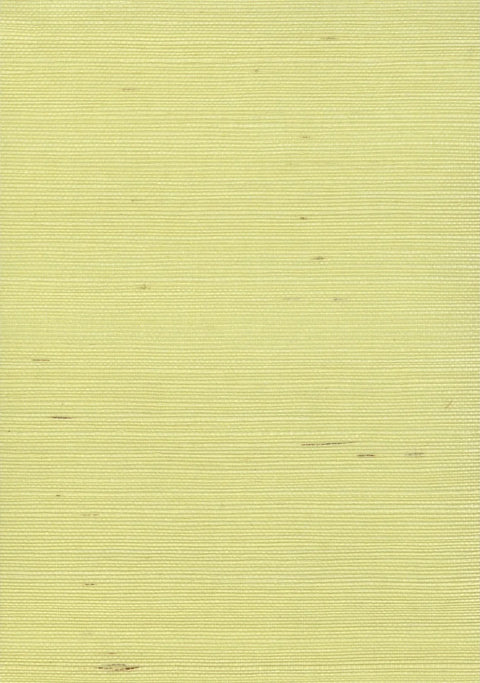 Sisal Grasscloth 1193 Cream Gold