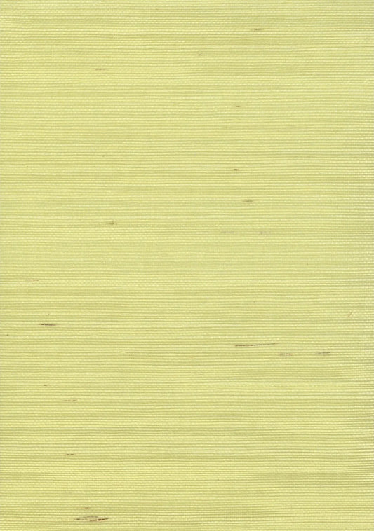 Sisal Grasscloth 1193 Cream Gold - Nāturae - Australia's Finest Natural Wallcoverings