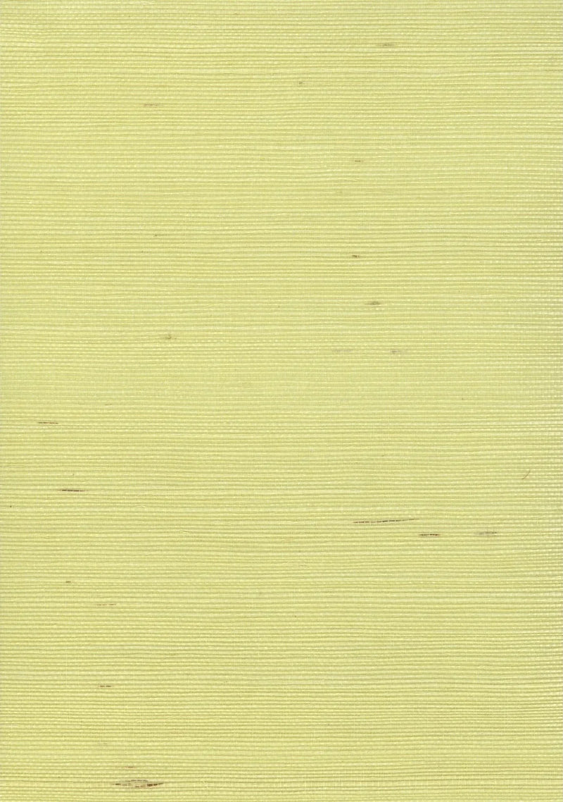 Sisal Grasscloth 1193 Cream Gold - Nāturae - Australia's Finest Natural Wallcoverings
