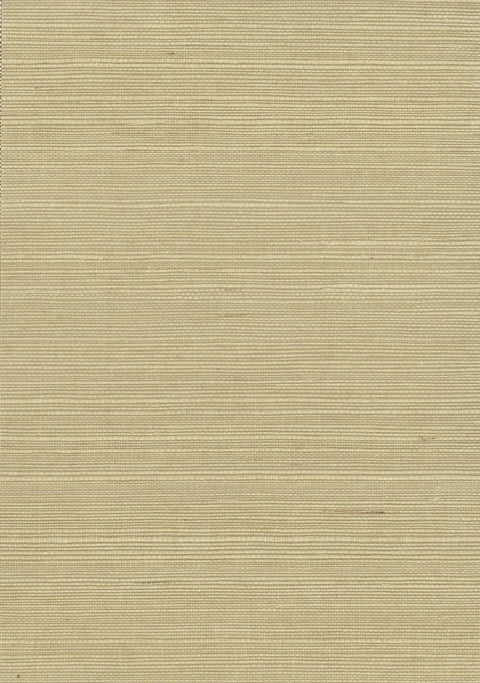 Sisal Grasscloth 1194 Hemp