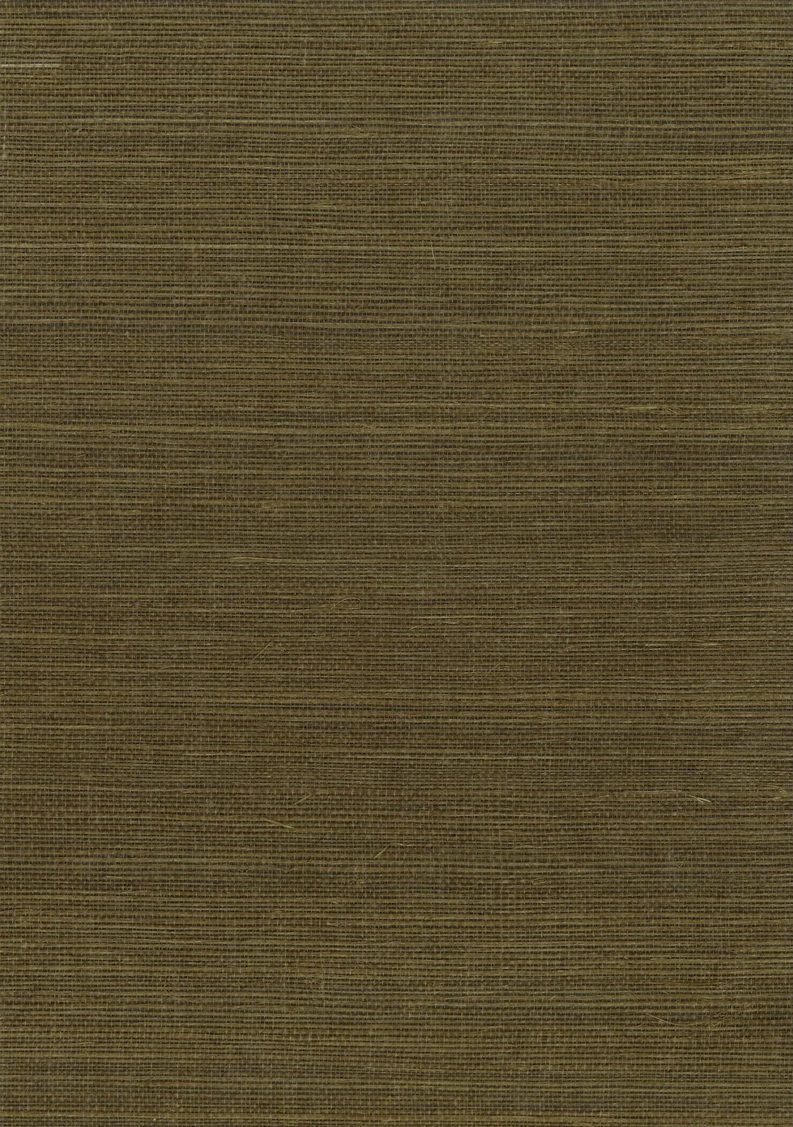 Sisal Grasscloth 1195 Mutria - Nāturae - Australia's Finest Natural Wallcoverings