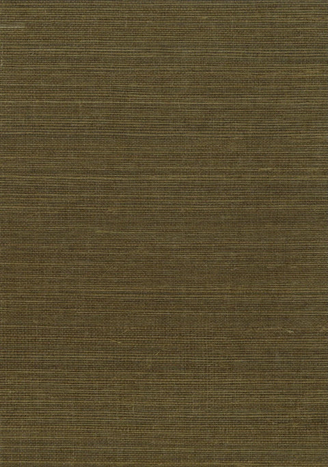 Sisal Grasscloth 1195 Mutria
