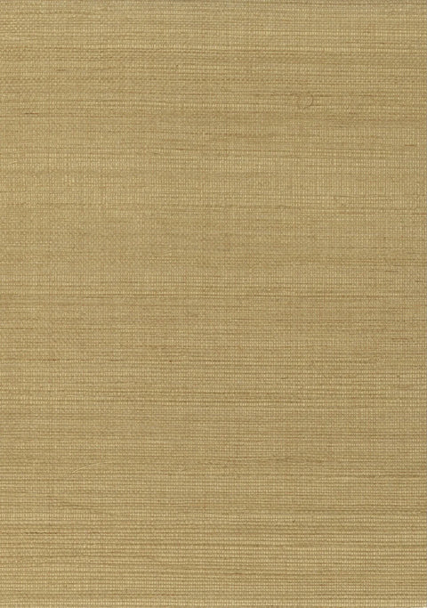 Sisal Grasscloth 1197 Curry
