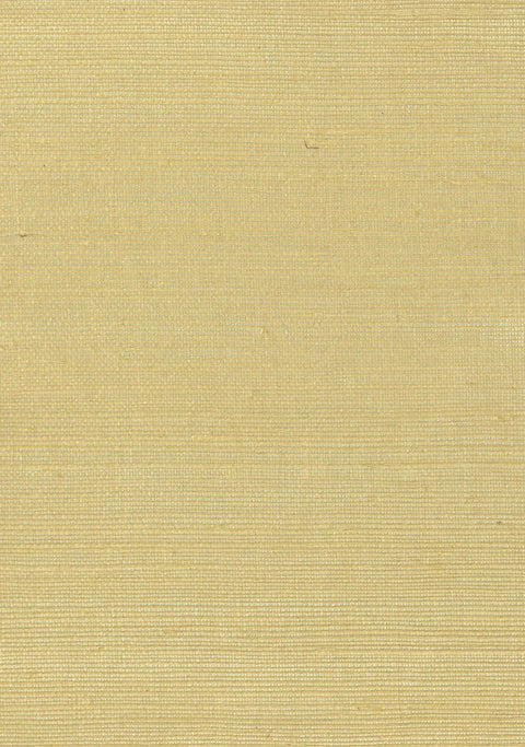 Sisal Grasscloth 2000 Misted Yellow