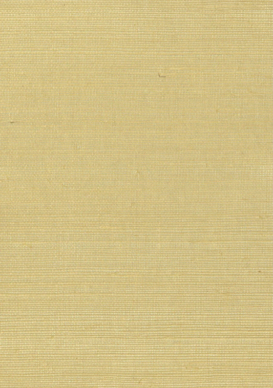 Sisal Grasscloth 2000 Misted Yellow - Nāturae - Australia's Finest Natural Wallcoverings