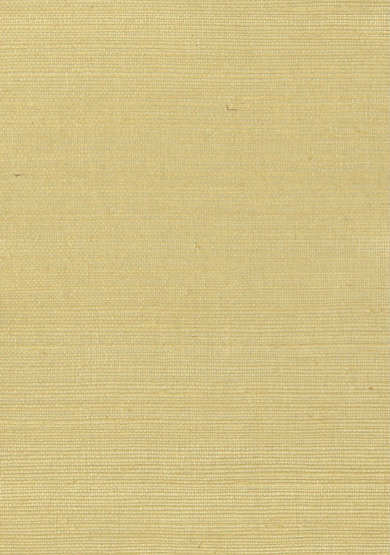 Sisal Grasscloth 2000 Misted Yellow - Nāturae - Australia's Finest Natural Wallcoverings