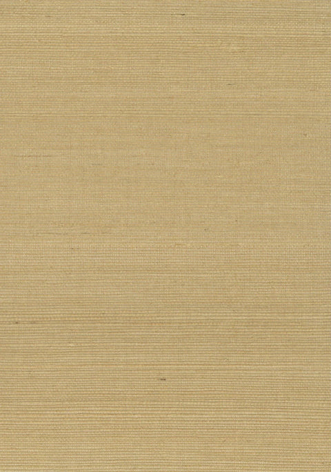 Sisal Grasscloth 2025 Lark