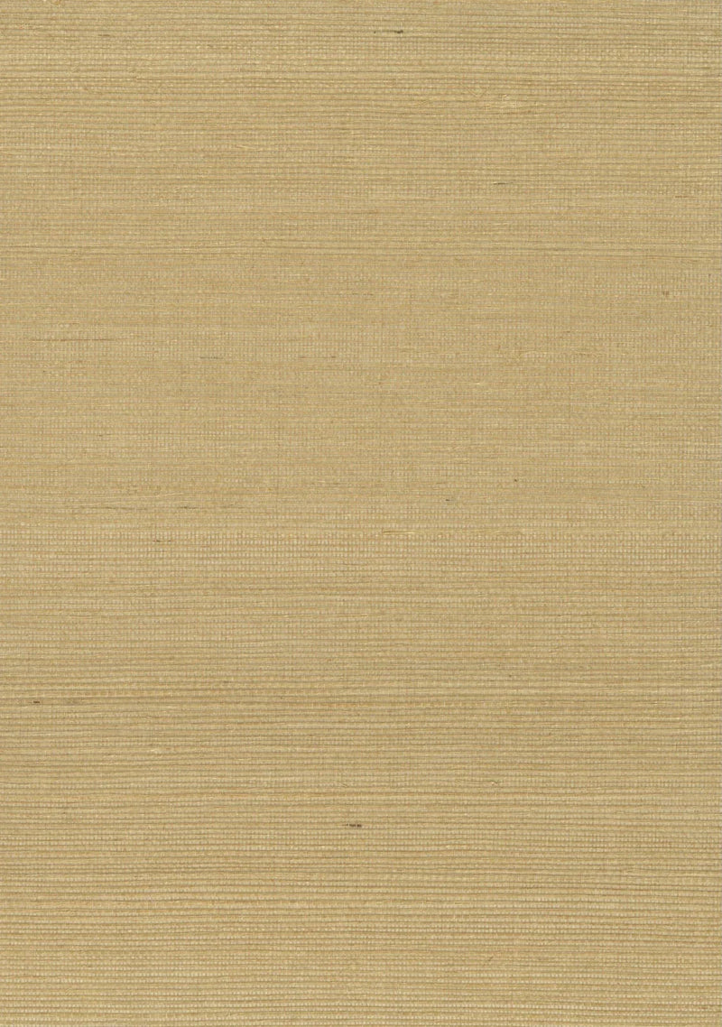 Sisal Grasscloth 2025 Lark - Nāturae - Australia's Finest Natural Wallcoverings