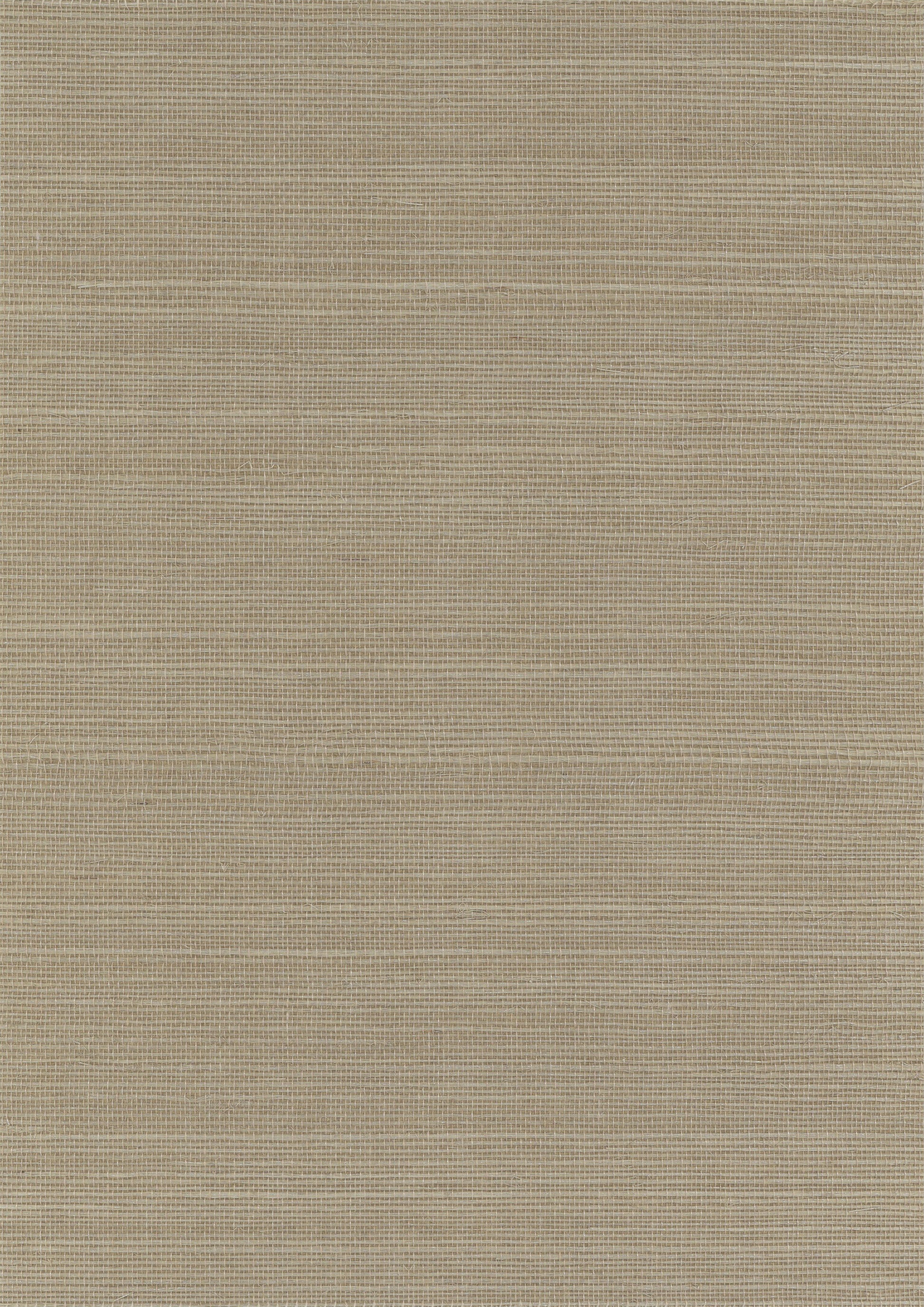Sisal Grasscloth 3057 natural wallcovering swatch