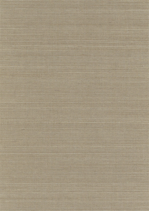 Sisal Grasscloth 3057