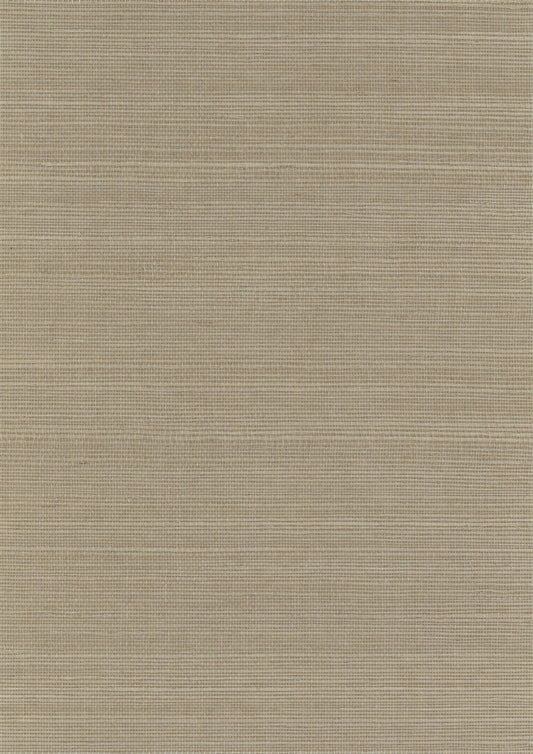 Sisal Grasscloth 3057 natural wallcovering swatch