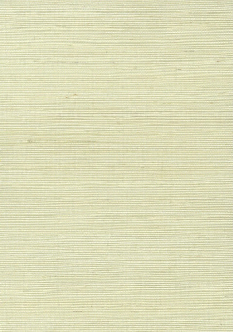 Sisal Grasscloth 7002 Hint Of Mint