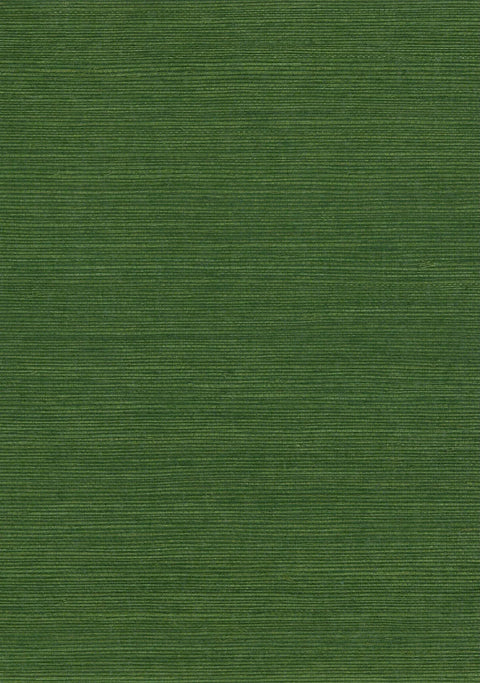 Sisal Grasscloth 7007 Treetop
