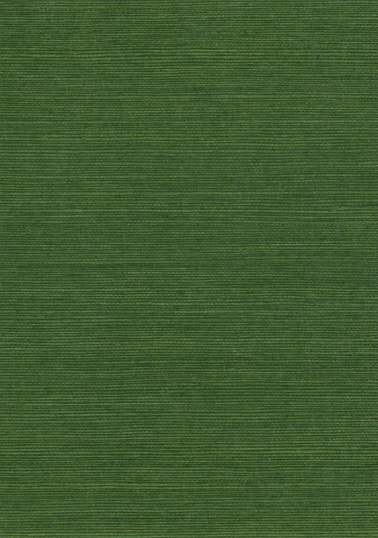 Sisal Grasscloth 7007 Treetop - Nāturae - Australia's Finest Natural Wallcoverings