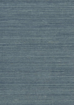 Sisal Grasscloth 7009 Arctic