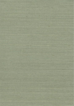 Sisal Grasscloth 7011 Desert Sage