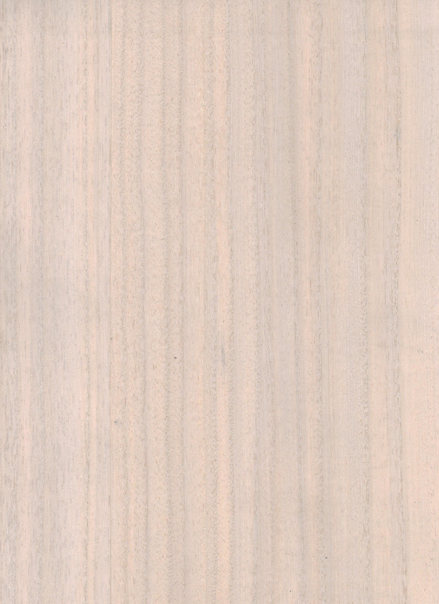 Timber Veneer 1013 natural wallcovering swatch
