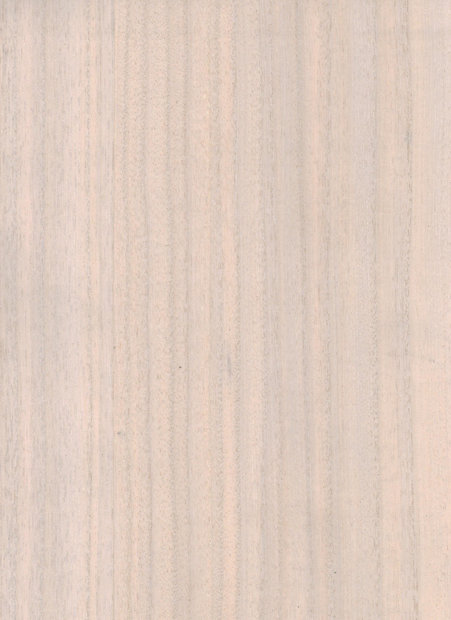 Timber Veneer 1013 natural wallcovering swatch