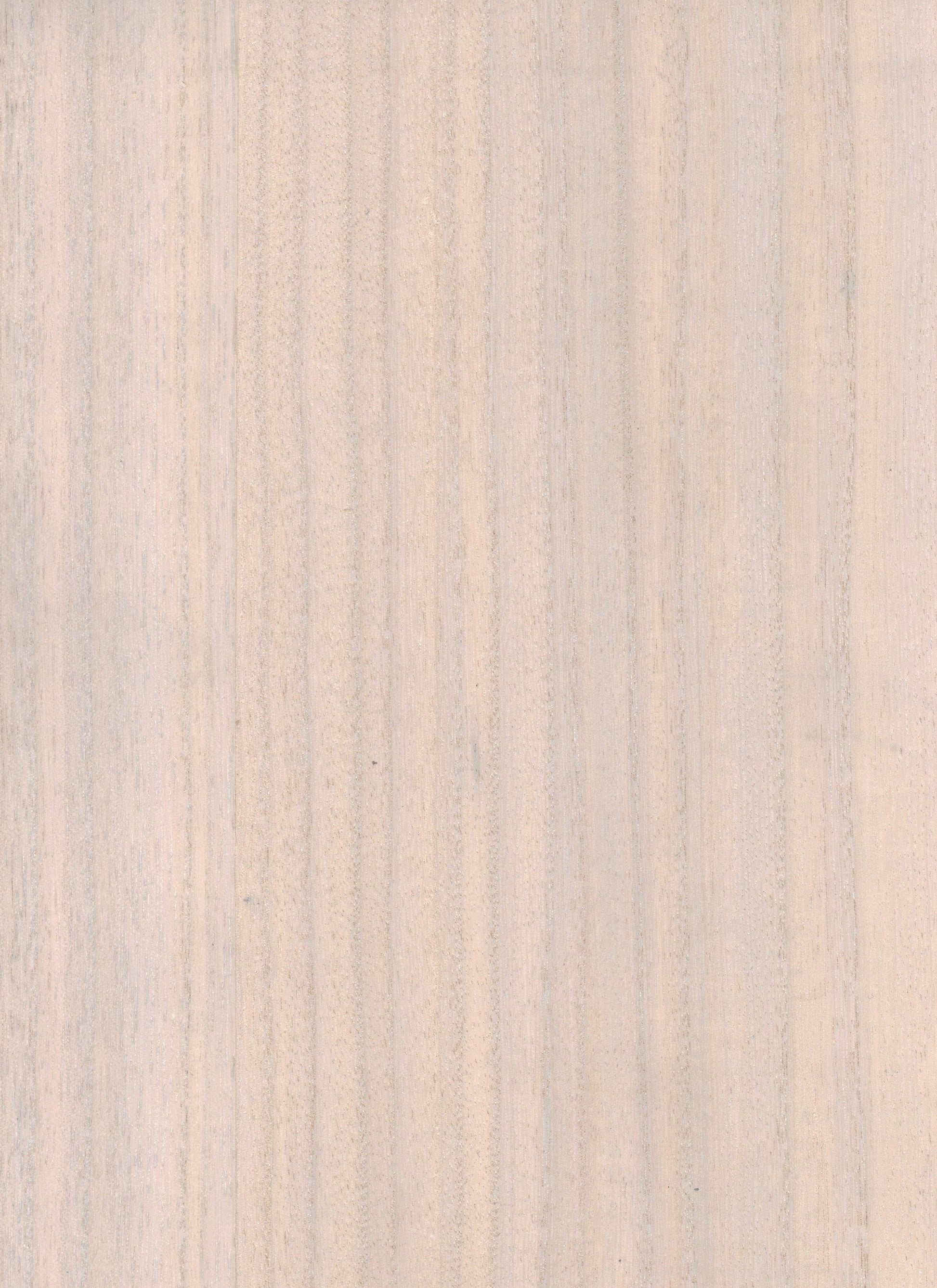Timber Veneer 1013 natural wallcovering swatch