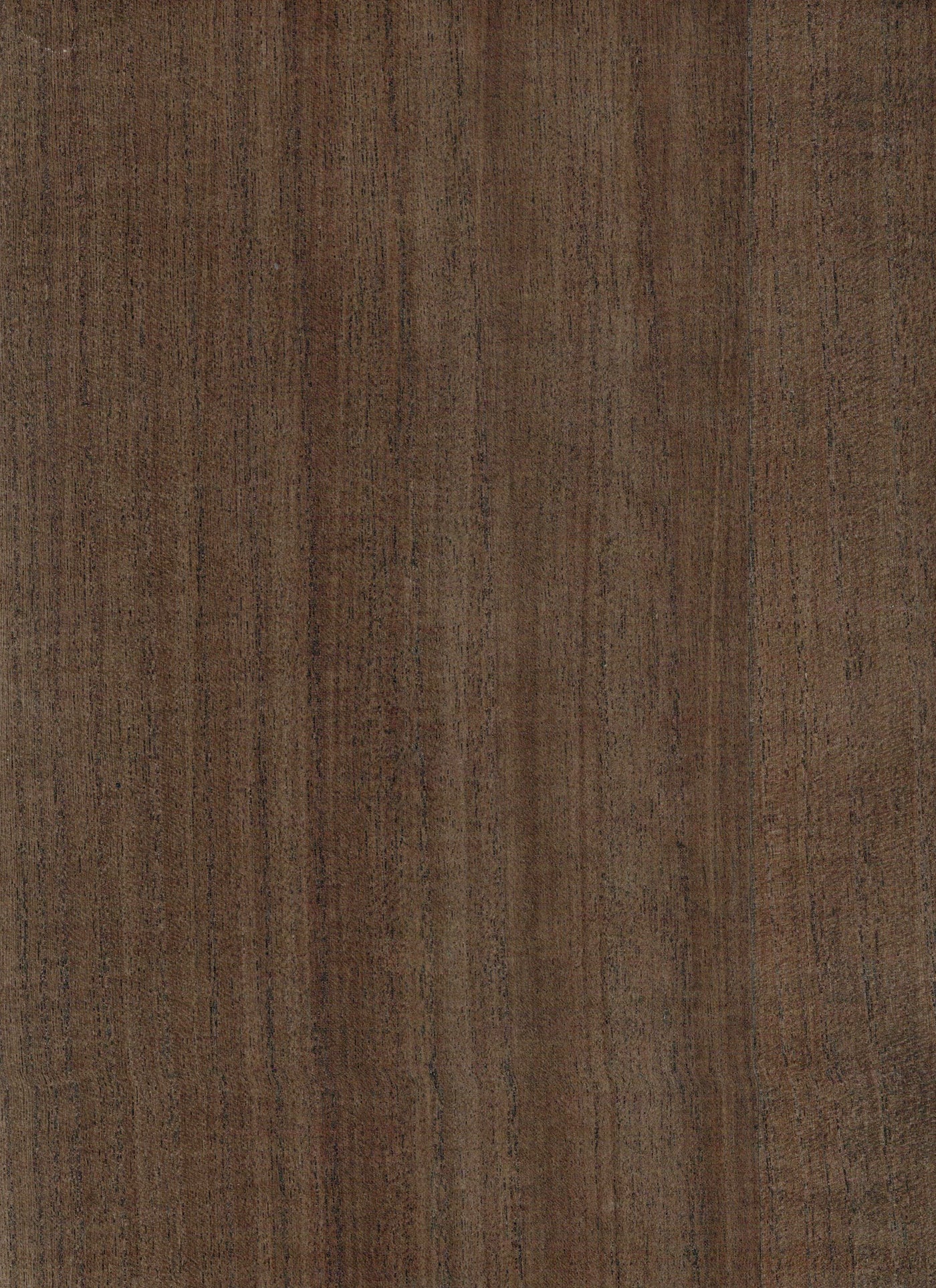 Timber Veneer 1018 natural wallcovering swatch