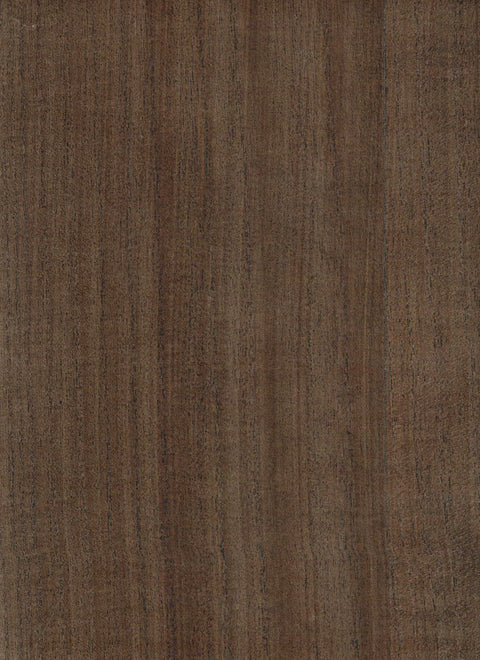 Timber Veneer 1018