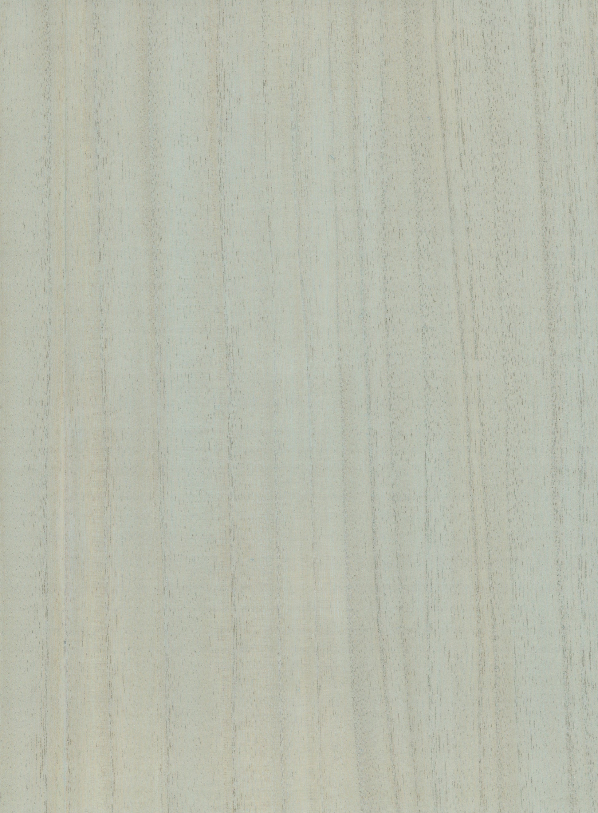 Timber Veneer 1029 natural wallcovering swatch