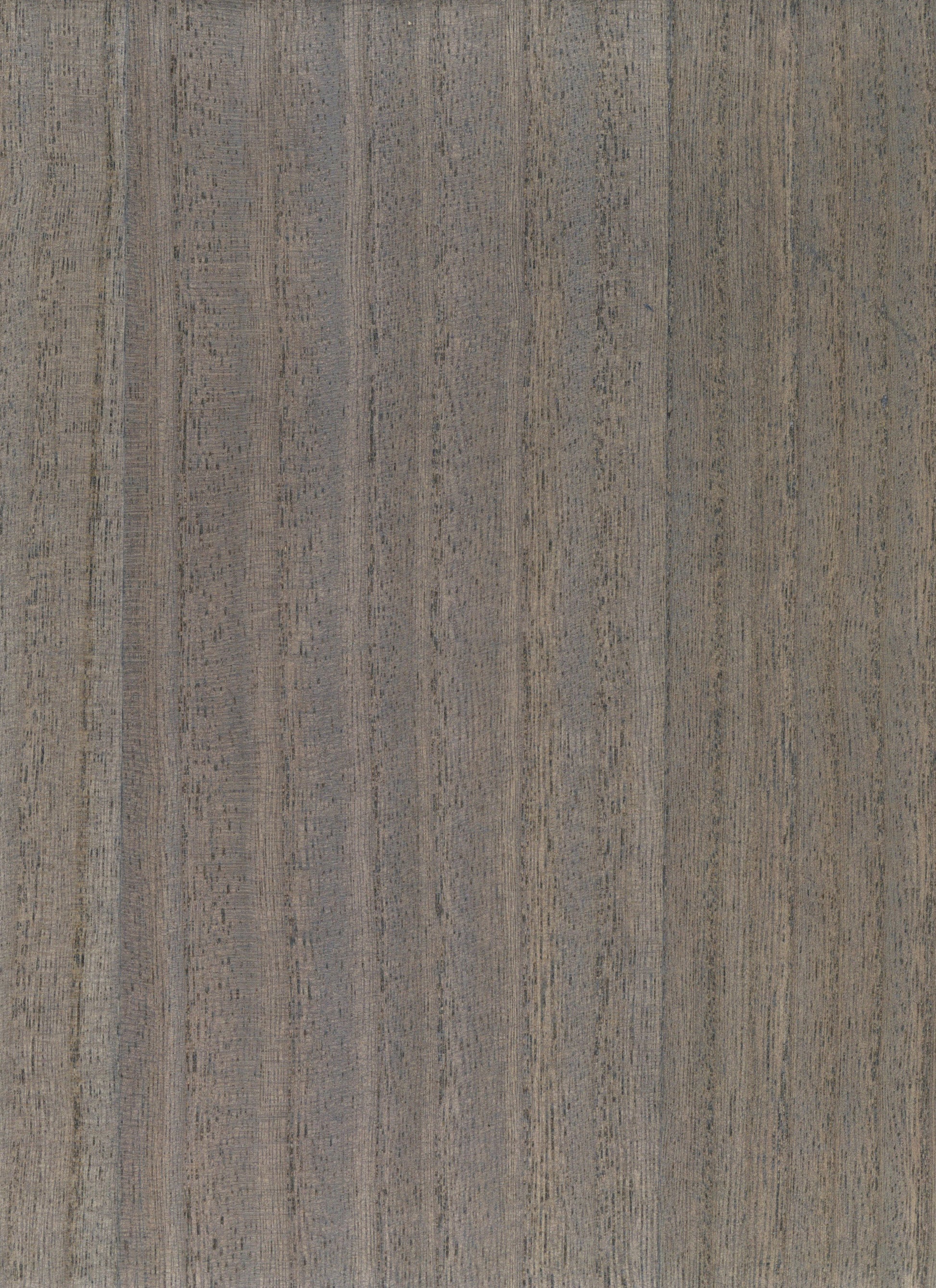Timber Veneer 1034 natural wallcovering swatch