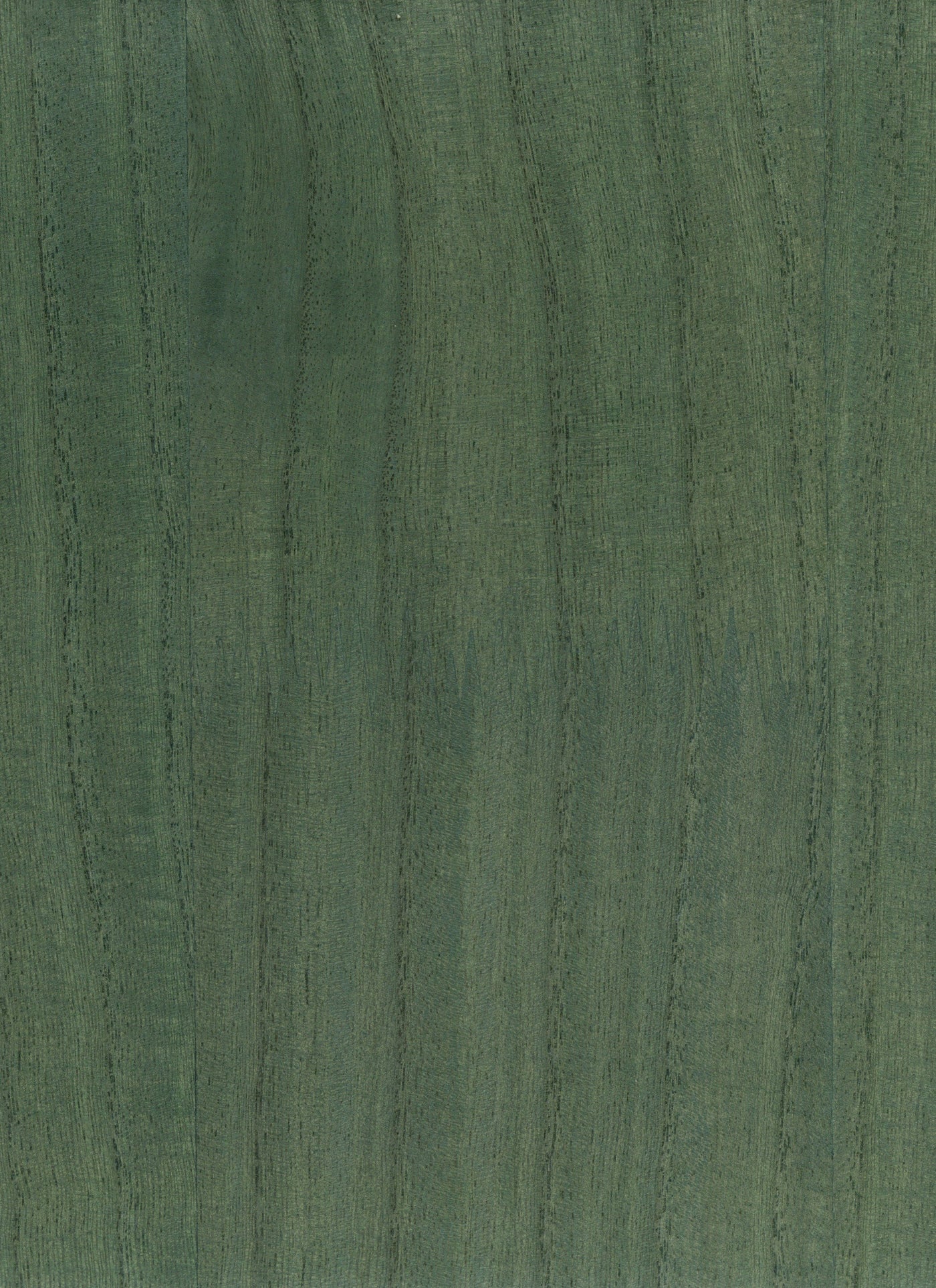 Timber Veneer 1036 natural wallcovering swatch
