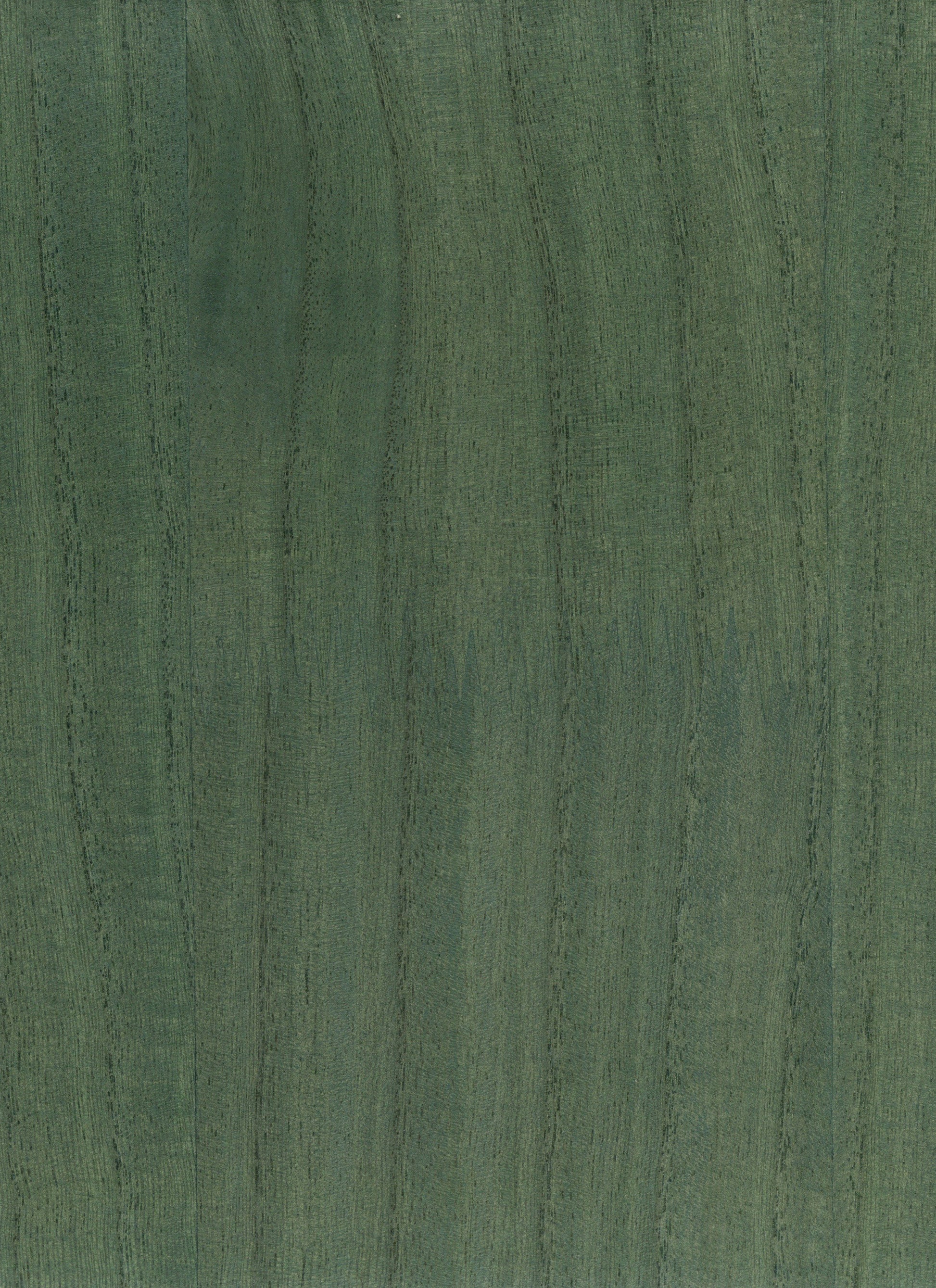 Timber Veneer 1036 natural wallcovering swatch