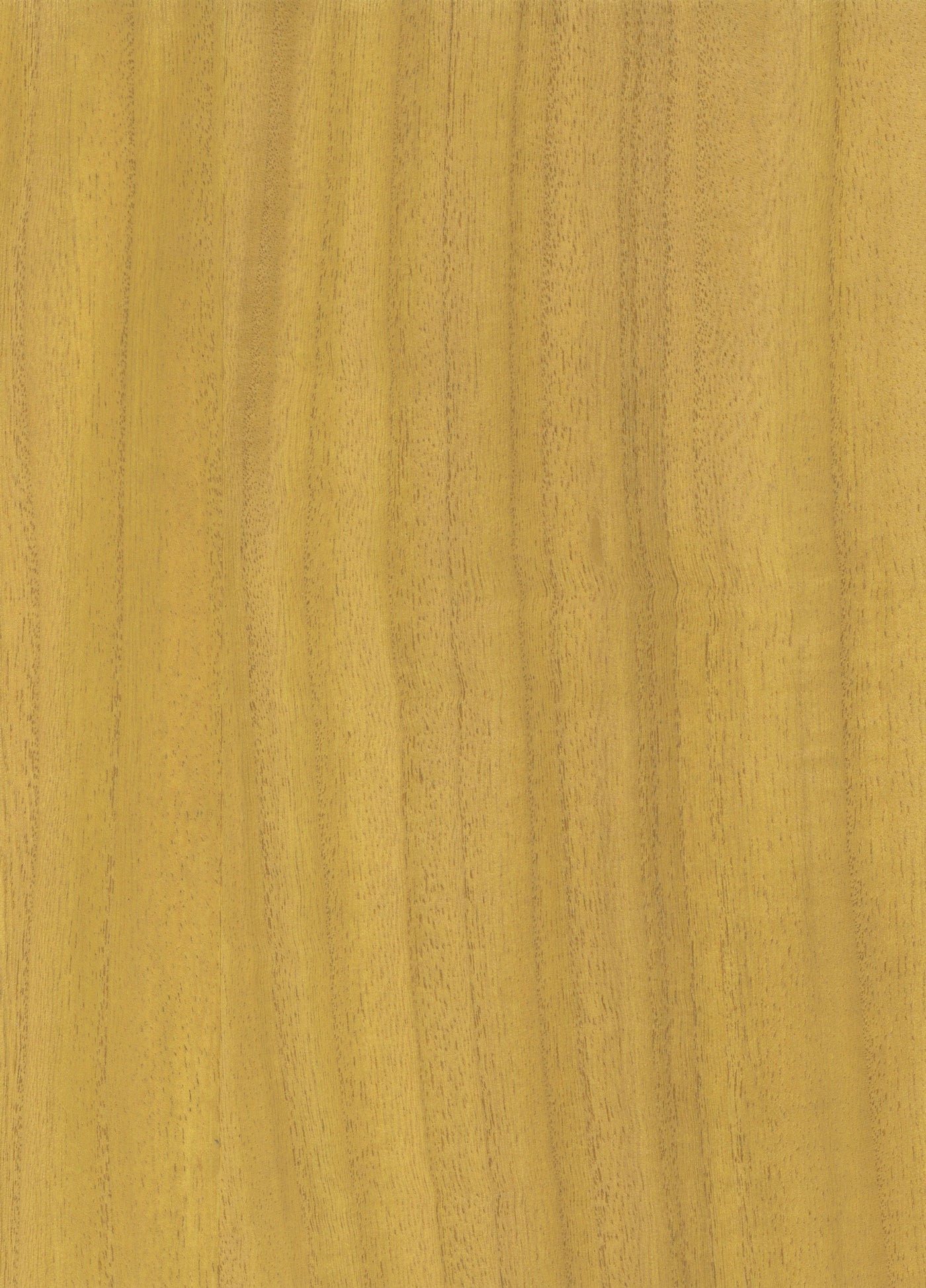 Timber Veneer 1041 natural wallcovering swatch