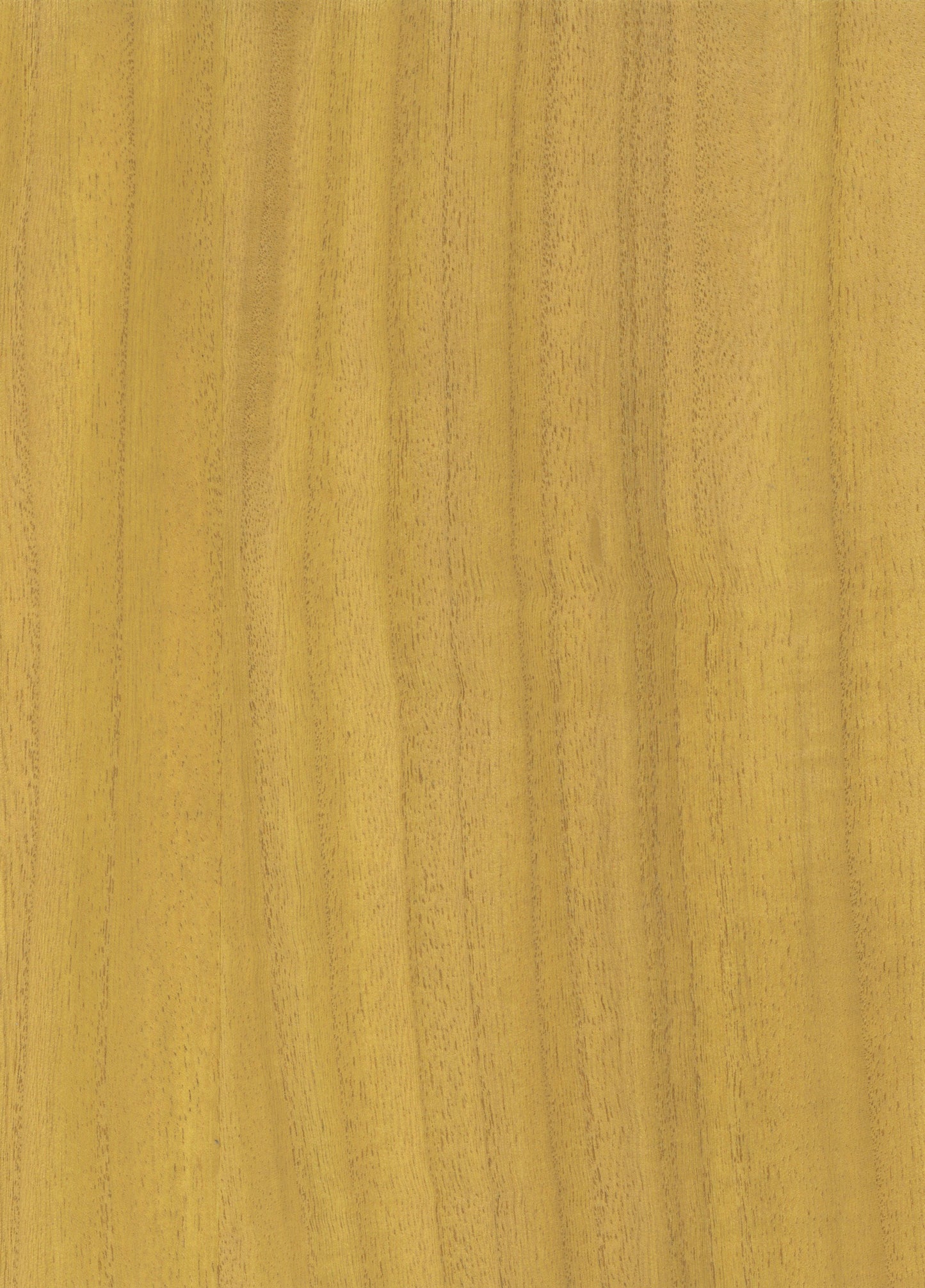 Timber Veneer 1041 natural wallcovering swatch