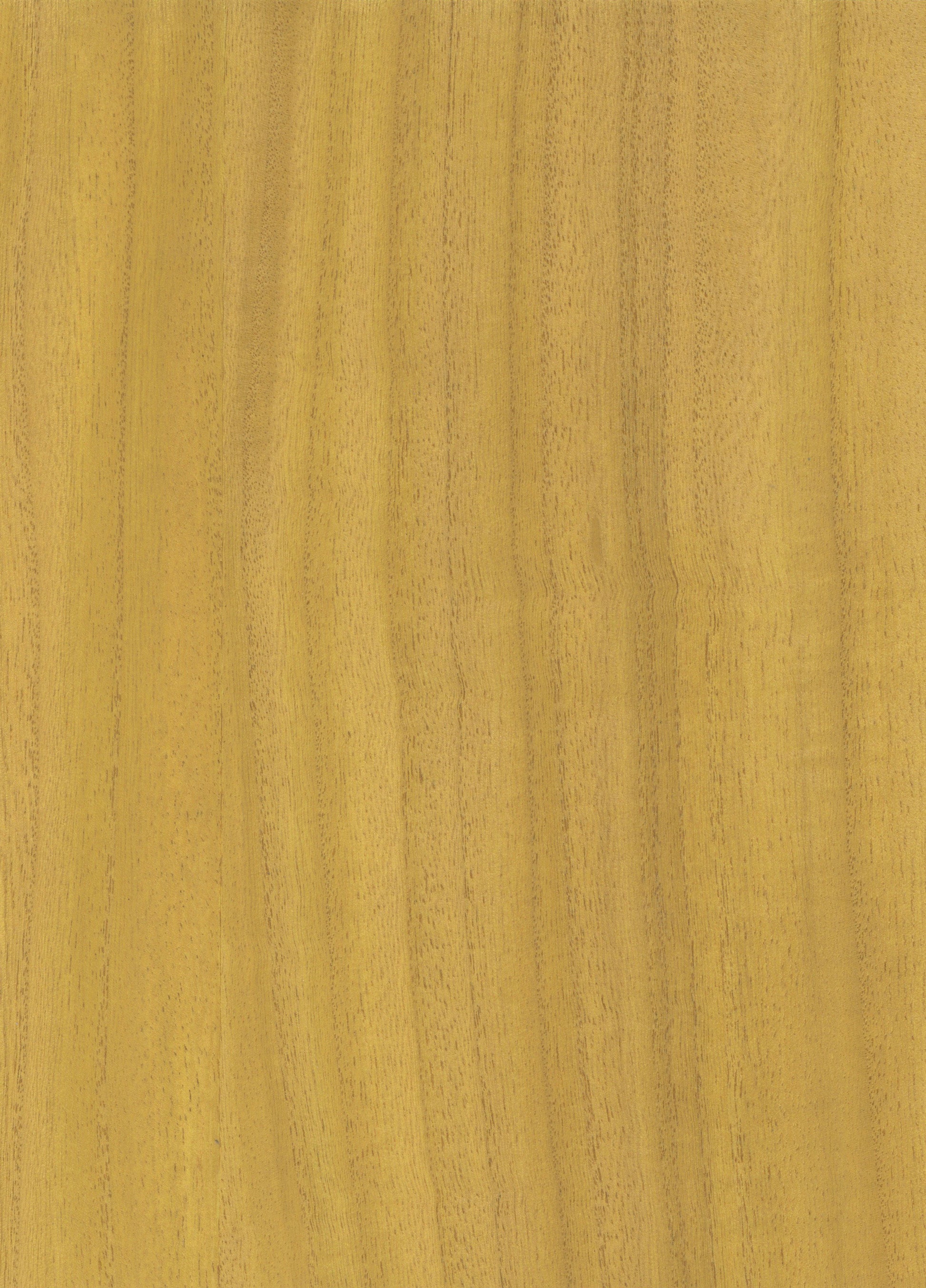 Timber Veneer 1041 natural wallcovering swatch