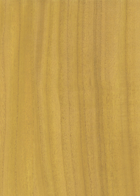 Timber Veneer 1041