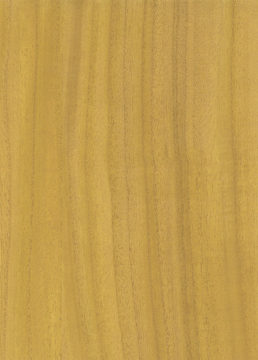 Timber Veneer 1041 natural wallcovering swatch