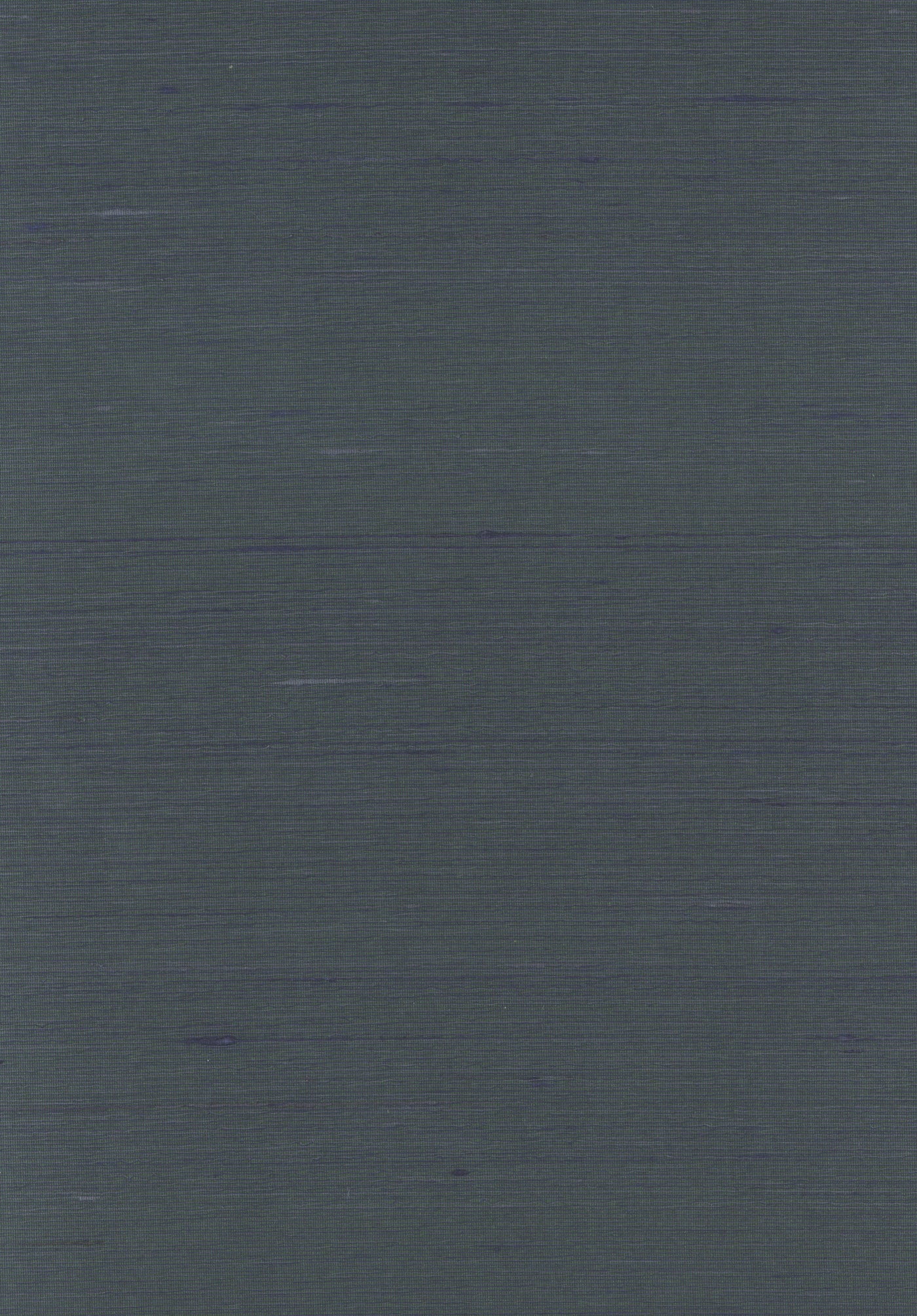 Silk 3492 Forest Biome natural wallcovering swatch